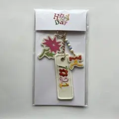 &team k アイドル