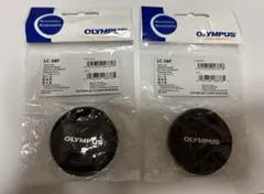 Item thumbnail for item 780e82f2-40ee-4f78-a4e6-c310dc3f88c6