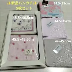 Item thumbnail for item 2c6bfd1e-7f0d-43bb-82e2-05df0661678a