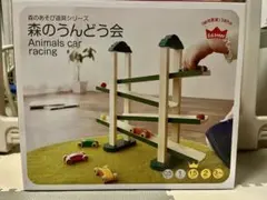 Ed.Inter 森のうんどう会 木のおもちゃのサムネイル