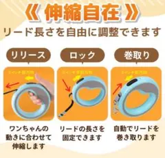 自動巻き取りリード 水色