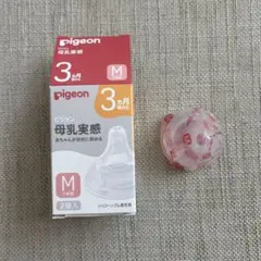 Item thumbnail for item 074dca36-0395-438c-b110-3e074216169c