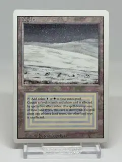 2025年最新】tundra mtgの人気アイテム - メルカリ