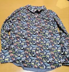 Item thumbnail for item bb0f1e18-9fb4-4efd-a858-2a1ee71a3aac