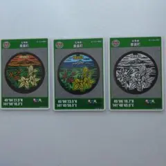 マンホールカード　北海道豊富町　 3種類セット