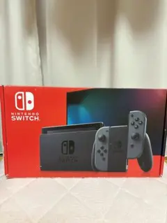 Nintendo Switch グレー 本体と付属品