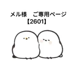 メル様　ご専用ページ　【2601】