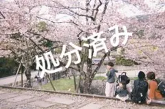 WEGO/ジップパーカー【美品】