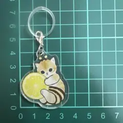 Item thumbnail for item 12850f74-0a68-435a-9311-86d891231e27