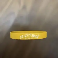 BAD HOP THE LAST SUMMER ラバーバンドのサムネイル