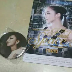 安室奈美恵　パンフレットや書籍18冊、パス、2014銀テ3本、2019LIVE羽 2025年最新】安室奈美恵 final space パンフレットの人気