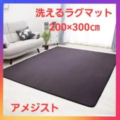洗えるラグマット　ホットカーペット対応　XLサイズ　アメジスト❗