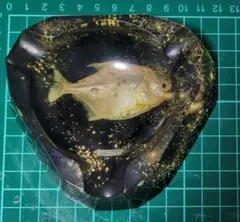魚　樹脂　小物入れ