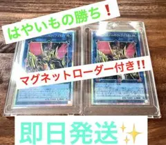 【はやいもの勝ち❗️】パーフェクトロン・ハイドライブ・ドラゴン　プリシク　2枚