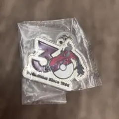 ポケモン 30周年 メタルチャーム