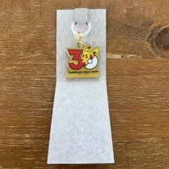 ポケチャーム 30周年 ピカチュウ アクリルキーホルダー