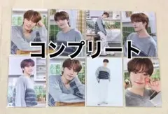 SEVENTEEN HOME 2023 ディノ トレカ コンプ コンプリート