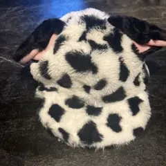 ディズニー 101匹わんちゃん ファンキャップ