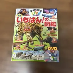 いちばん!の図鑑 DVD付き