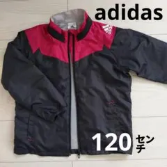 ウインドブレーカー 100