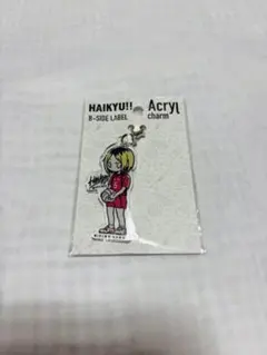 ハイキュー!! アクリルチャーム 孤爪研磨 １個