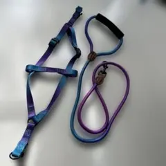 Item thumbnail for item e3e7d268-6c20-4916-8b2a-11937b8b0047