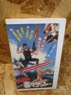 再生確認済】VHS ヤング・ウォリアーズ（1983米）【未DVD化作品 