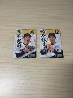 阪神タイガース 選手カードセット