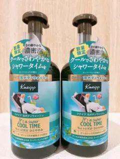 クナイプ 泡ボディウォッシュ スーパーミントのサムネイル