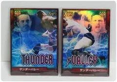 訳あり プロレス カード　ノア　マイキー ニコルス　シェイン ヘイスト