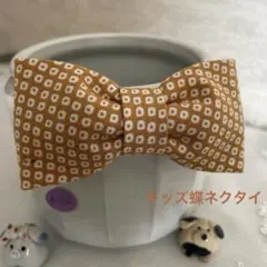 Item thumbnail for item 3ffffe69-db29-44ce-951e-0e44fe3d1529