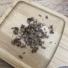 Lotus.gaṇeśa M様 リクエスト 4点 まとめ商品