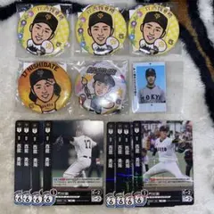 Item thumbnail for item ff4f47c9-a2c0-477f-9074-652430e1ec86