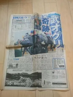 【入手困難】 スポーツ新聞　日刊スポーツ　ステイゴールド　香港ヴァーズ　一面のみ 入手困難】 スポーツ新聞 日刊スポーツ ステイゴールド 香港ヴァーズ