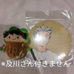 ハイキュー 東武動物公園コラボ 書き下ろしレジャーvar Big 缶バッジ 木兎