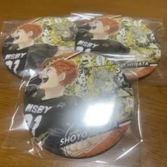 ハイキュー 日向翔陽 Memories 第2弾 缶バッジ