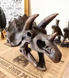 ✨大迫力✨ ティラノサウルス 恐竜の化石 頭骨 インテリア