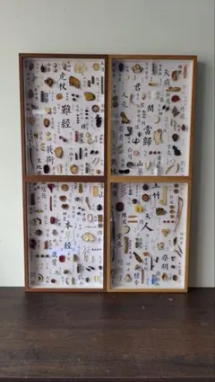 2026年最新】生薬 標本の人気アイテム - メルカリ