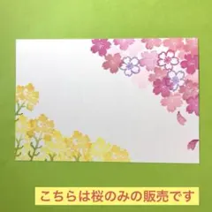 消しゴムはんこ＊春のお花 桜②小さい桜（はんこ5個）＊ No.336