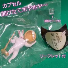 未開封◐うさぎの餅つきんにく◑臼もちうさぎ