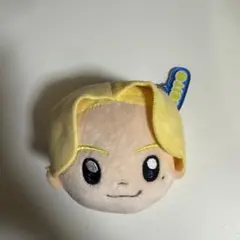 【未開封新品】中島颯太　八木勇征　BIGぬいぐるみ　4体セット 2025年最新】八木勇征ぬいぐるみの人気アイテム - メルカリ