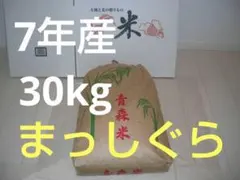 ☆ 아오모리현산 레이와7 마쓰시구라 현미〈30kg〉