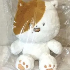 NCT DREAM チソン ぬいぐるみ バラ売り まとめ売り NCT DREAM】 Dreamiez bamjji チソン ぬいぐるみ - メルカリ