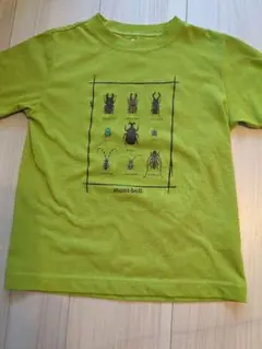 mont-bell 昆虫デザイン Tシャツ ライムグリーン　120cm