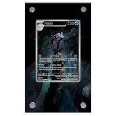 【新品】イルカマン AR ディスプレイフレーム