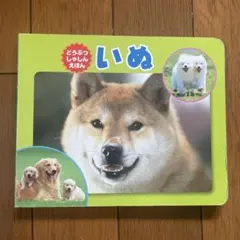 Item thumbnail for item 1221969f-03a5-45bd-a49c-01e07c3b3465