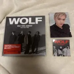 Item thumbnail for item d33d76ff-ef80-4f08-9f3e-9f16f4da4165