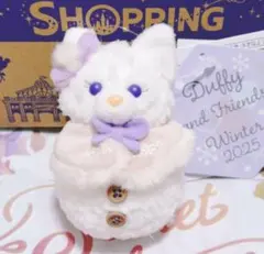 お顔厳選　ディズニーシー　ダッフィー　シークレットオブスノーウィーデイ　リーナ③