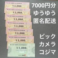 ビッグカメラ コジマ 株主優待券 7000円分 送料込匿名便