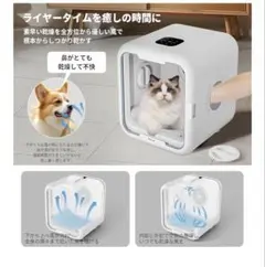 Item thumbnail for item 098a3455-102c-4ea6-b5ab-74ba6f72a119